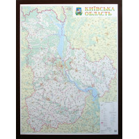 Київська область. Політико-адміністративна карта (картон в багеті), м-б 1:200 000